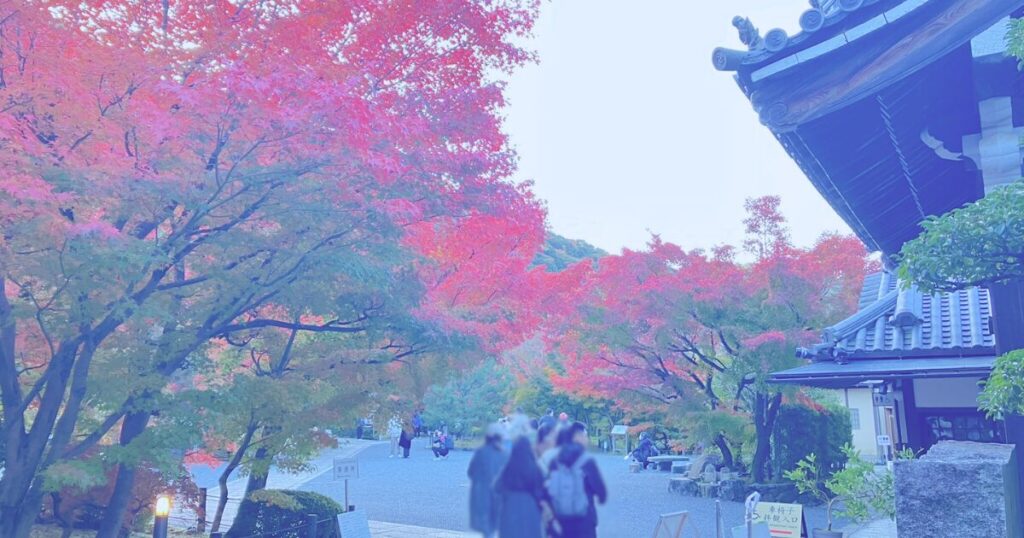 永観堂 所要時間 見どころ 紅葉