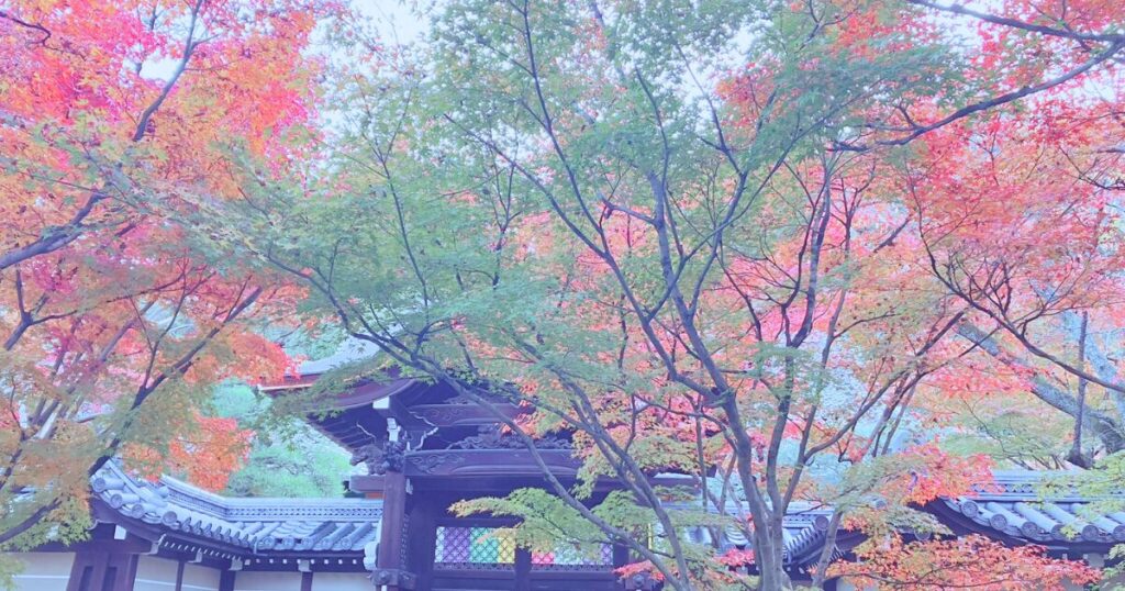 永観堂 所要時間 見どころ 紅葉