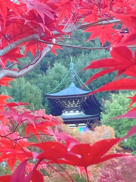 永観堂 所要時間 見どころ 紅葉