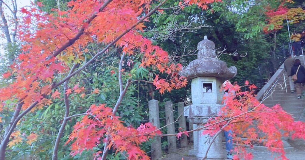 永観堂 所要時間 見どころ 紅葉