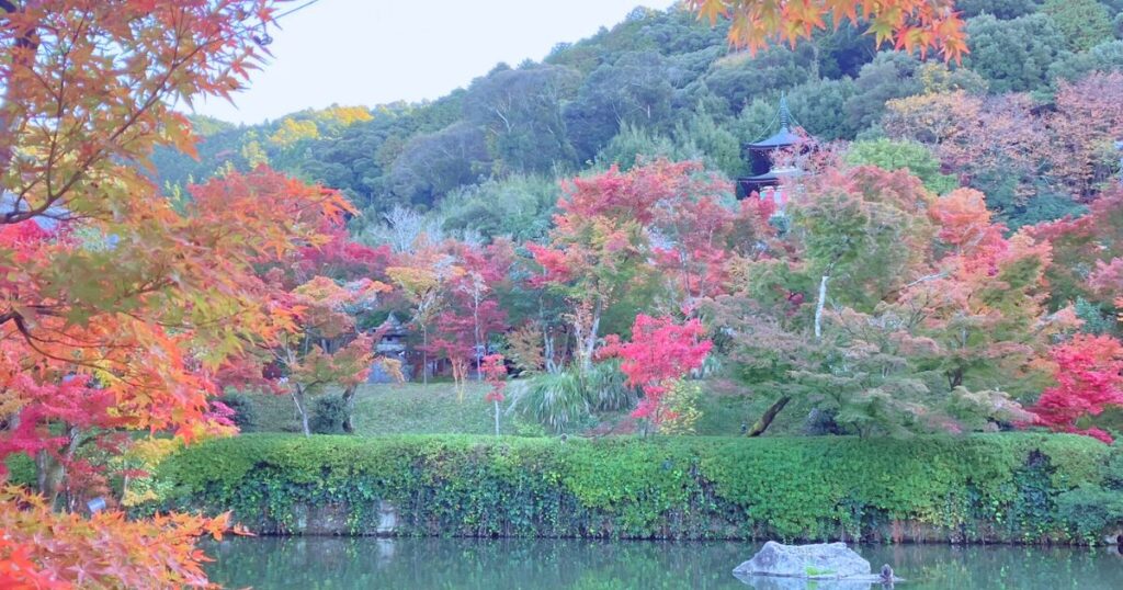 永観堂 所要時間 見どころ 紅葉