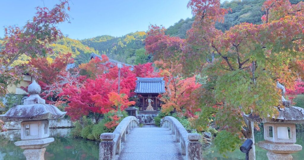 永観堂 所要時間 見どころ 紅葉