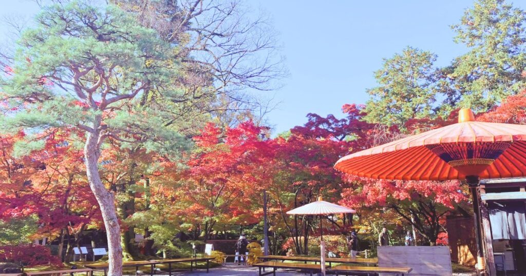 永観堂 所要時間 見どころ 紅葉