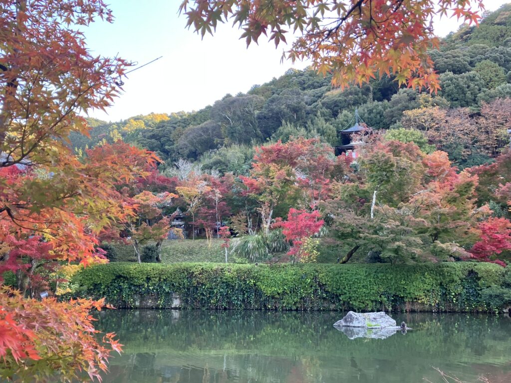 東山を借景