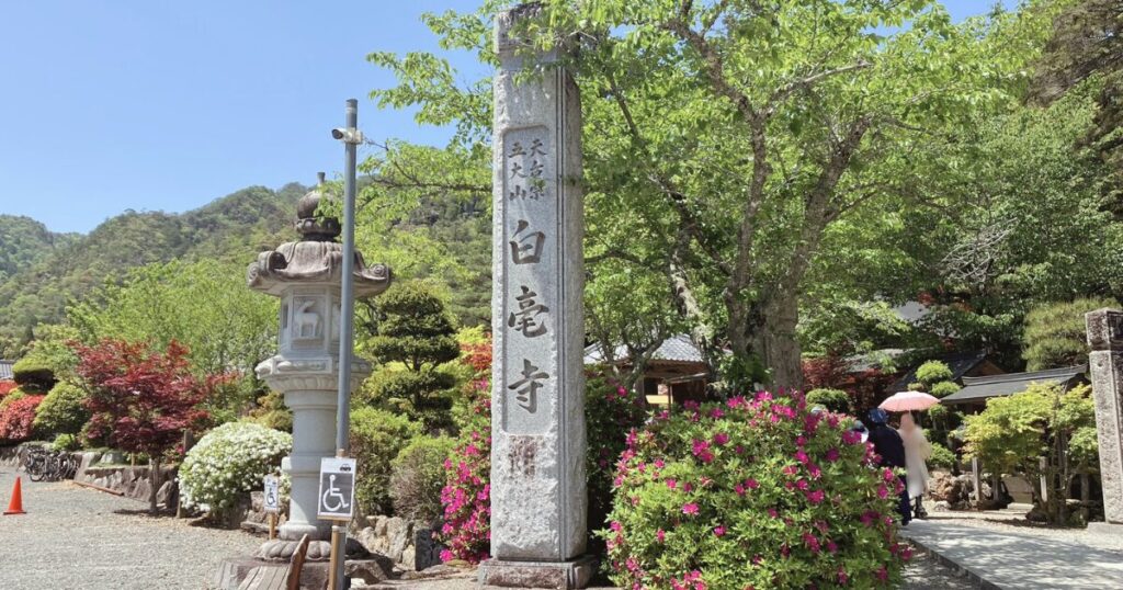 白毫 寺 藤 まつり