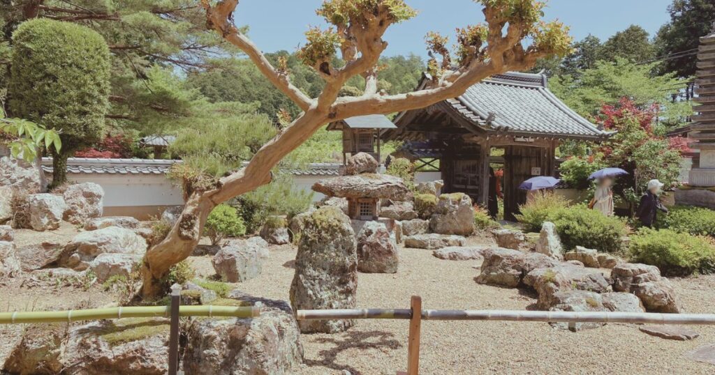 白毫 寺 藤 まつり