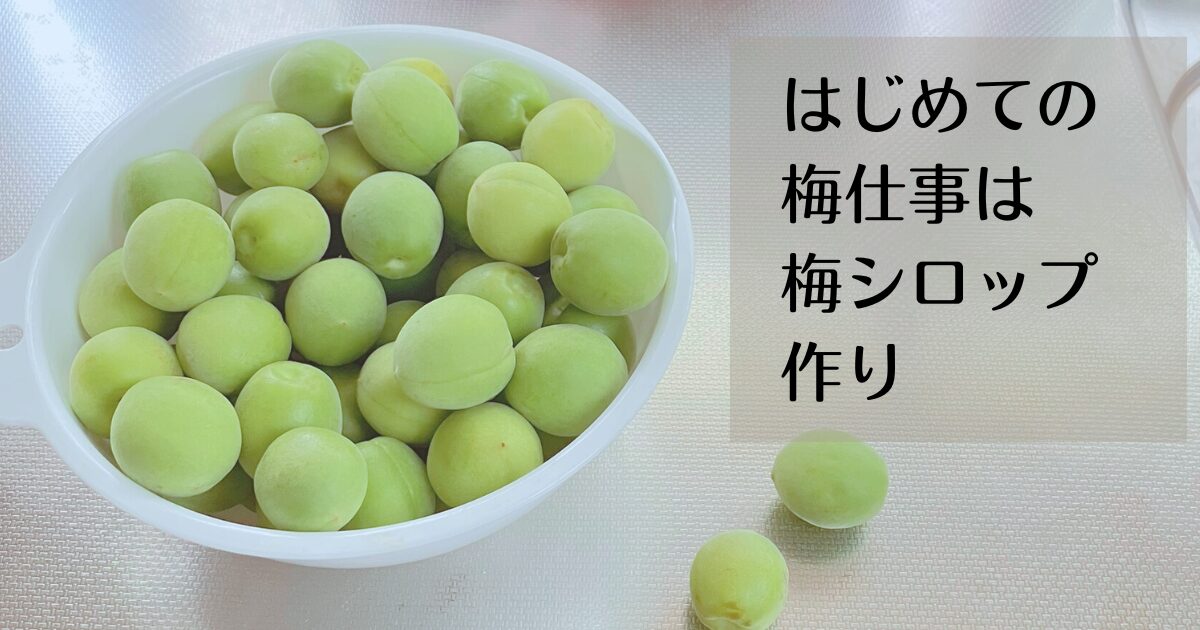 はじめての梅仕事　梅シロップを作ってみた