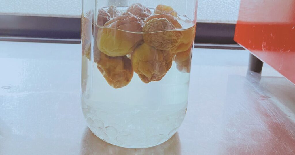 梅シロップ