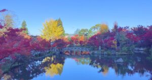 永観堂 所要時間 見どころ 紅葉﻿