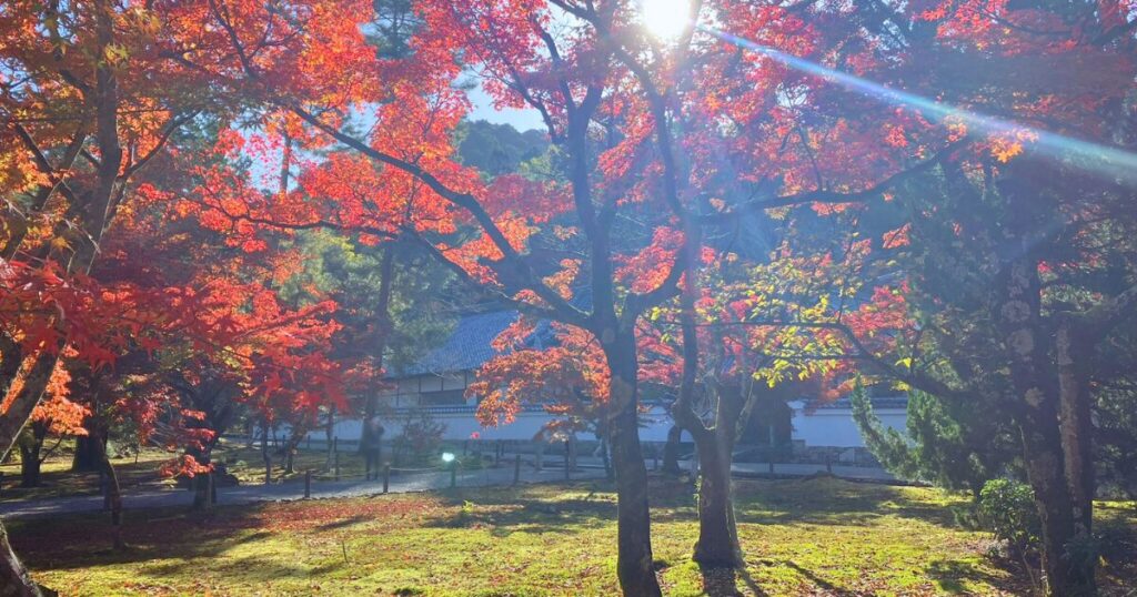 南禅寺の紅葉は早朝が絶景!静けさと光に包まれる至福のひととき【シニア向け京都散歩】