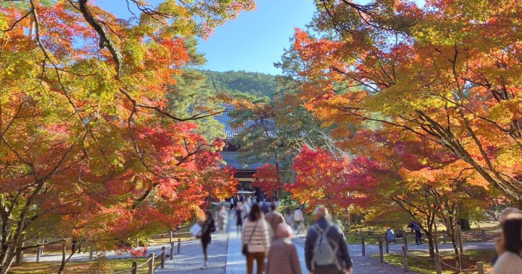 南禅寺の紅葉は早朝が絶景!静けさと光に包まれる至福のひととき【シニア向け京都散歩】