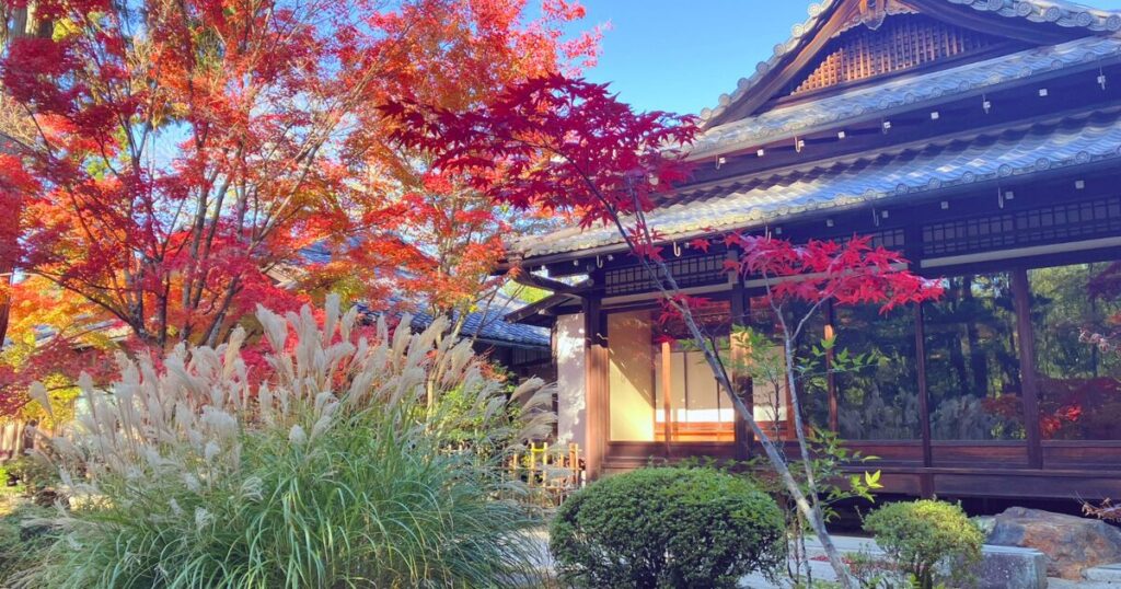 南禅寺の紅葉は早朝が絶景!静けさと光に包まれる至福のひととき【シニア向け京都散歩】