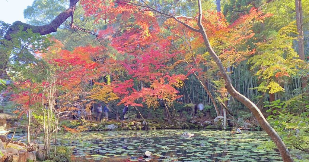 南禅寺の紅葉は早朝が絶景!静けさと光に包まれる至福のひととき【シニア向け京都散歩】