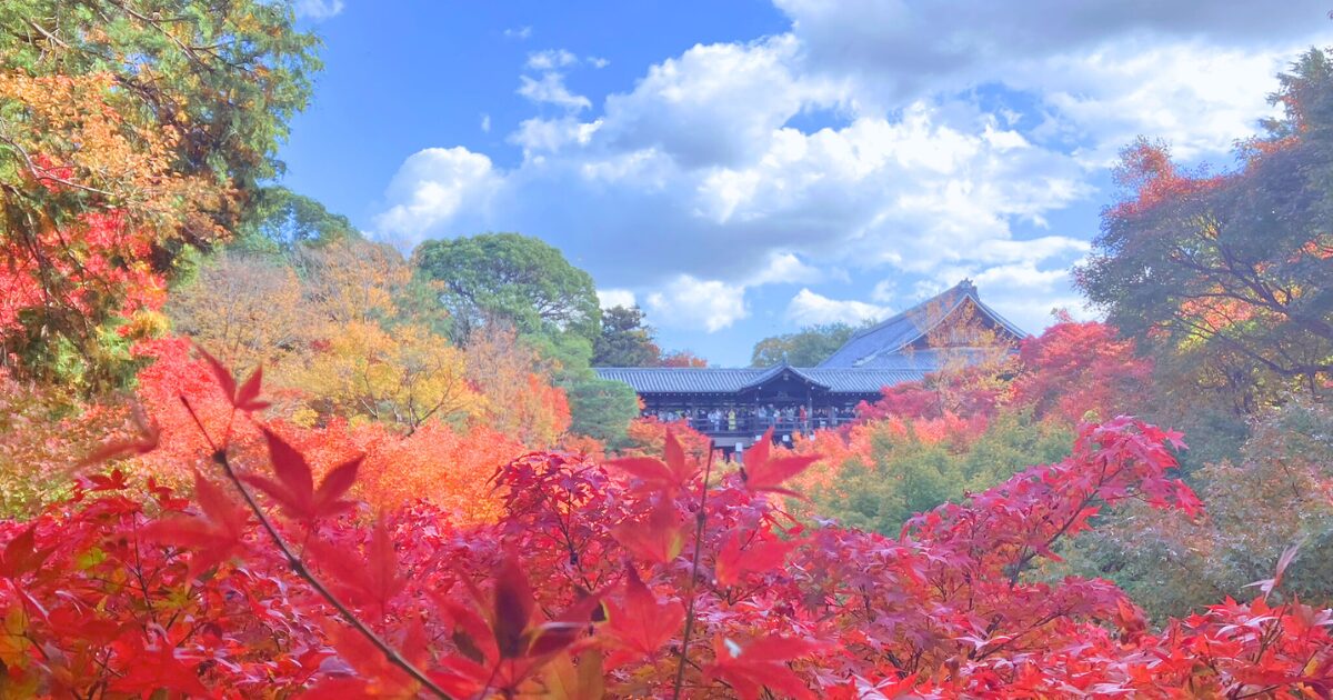 東福寺ってどこ?京都屈指の紅葉名所をやさしく紹介|行き方・見頃・おすすめ観賞ルート