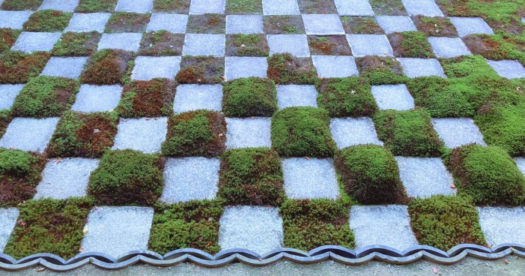 東福寺ってどこ?京都屈指の紅葉名所をやさしく紹介|行き方・見頃・おすすめ観賞ルート