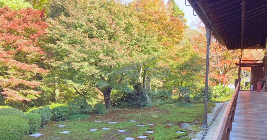 東福寺ってどこ?京都屈指の紅葉名所をやさしく紹介|行き方・見頃・おすすめ観賞ルート