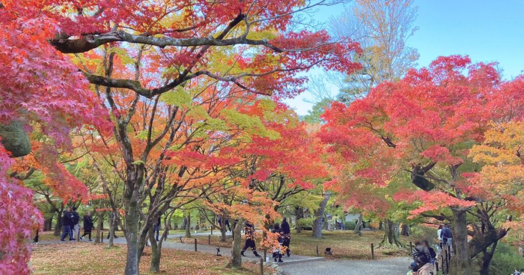 東福寺ってどこ?京都屈指の紅葉名所をやさしく紹介|行き方・見頃・おすすめ観賞ルート