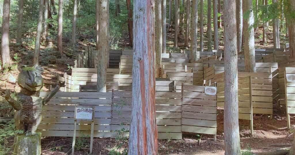 【無料で楽しむ紅葉狩り】シニアに優しいゆっくり歩ける「ささやまの森公園」で森林浴