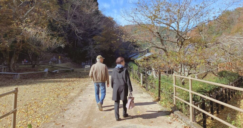 【無料で楽しむ紅葉狩り】シニアに優しいゆっくり歩ける「ささやまの森公園」で森林浴