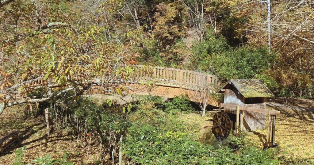 【無料で楽しむ紅葉狩り】シニアに優しいゆっくり歩ける「ささやまの森公園」で森林浴