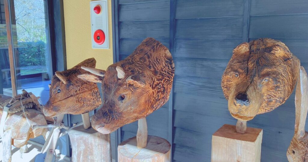 【無料で楽しむ紅葉狩り】シニアに優しいゆっくり歩ける「ささやまの森公園」で森林浴