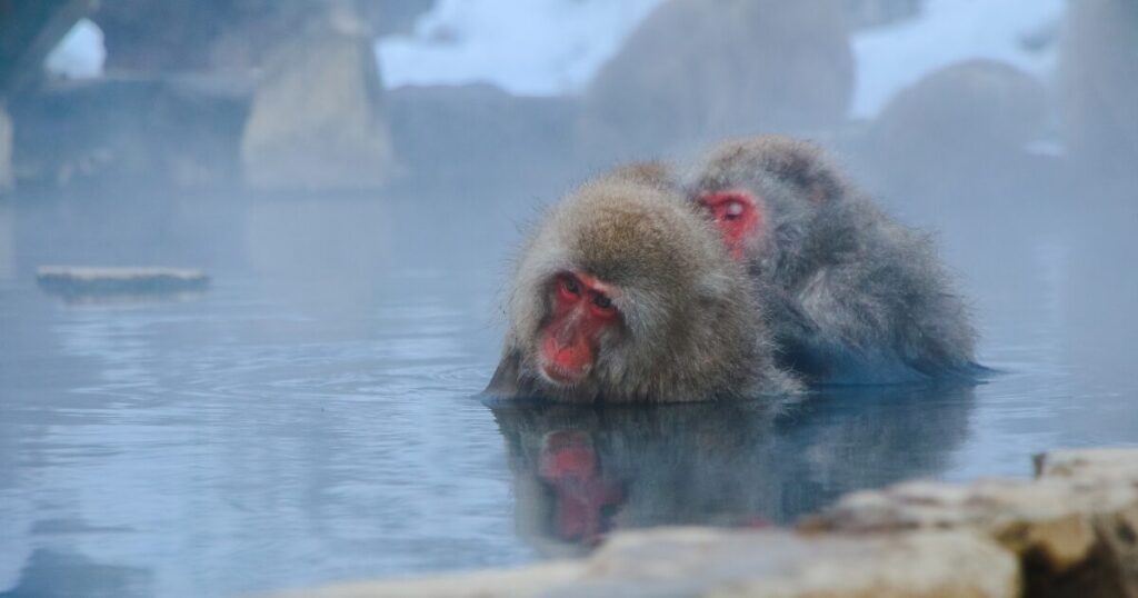 シニア・高齢者向けの安心旅行先まとめ
