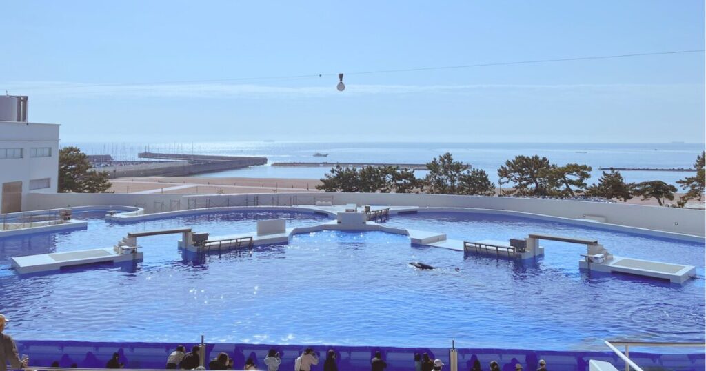 神戸須磨シーワールドの平日の混み具合は?