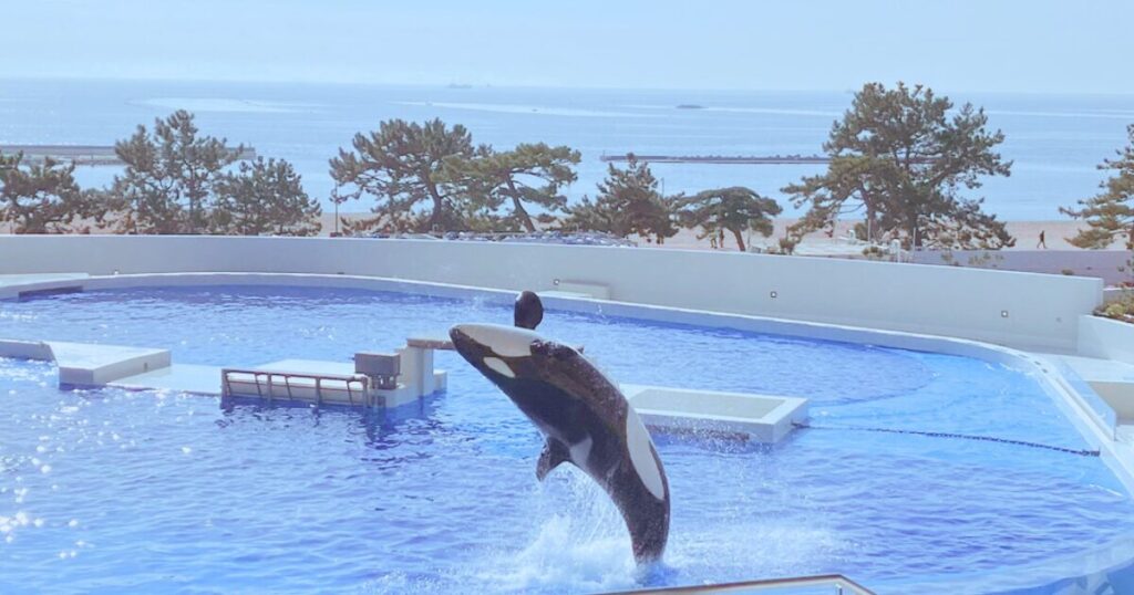 神戸須磨シーワールドの平日の混み具合は?