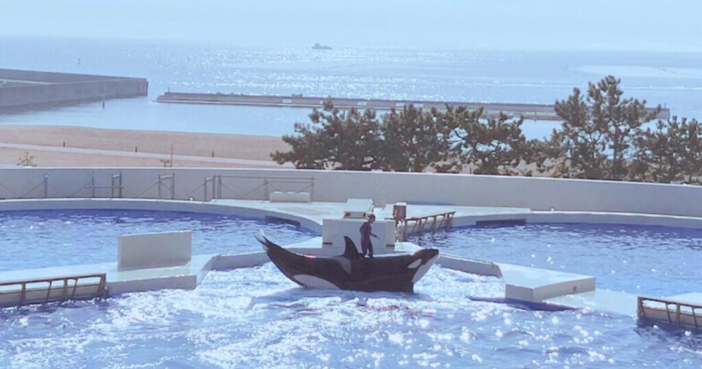 神戸須磨シーワールドの平日の混み具合は?