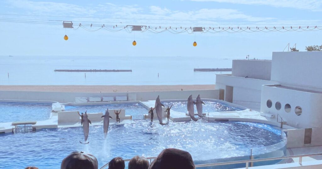 神戸須磨シーワールドの平日の混み具合は?