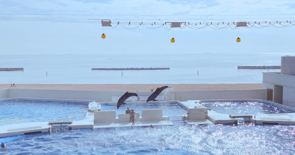 神戸須磨シーワールドの平日の混み具合は?