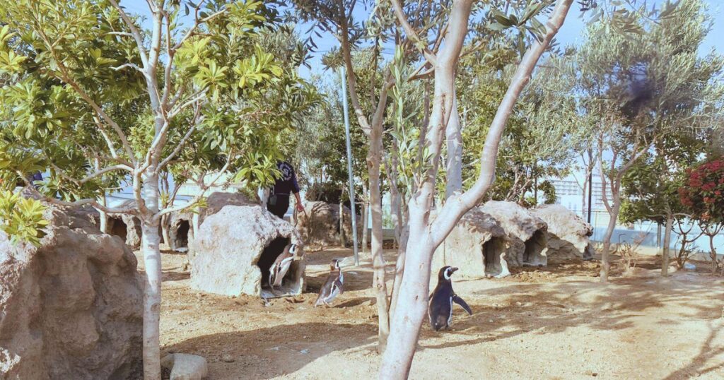 神戸須磨シーワールドの平日の混み具合は?