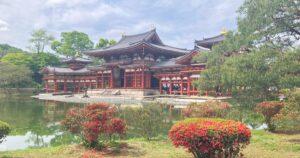 平等院の藤と三室戸寺のツツジを混雑回避で楽しむ方法