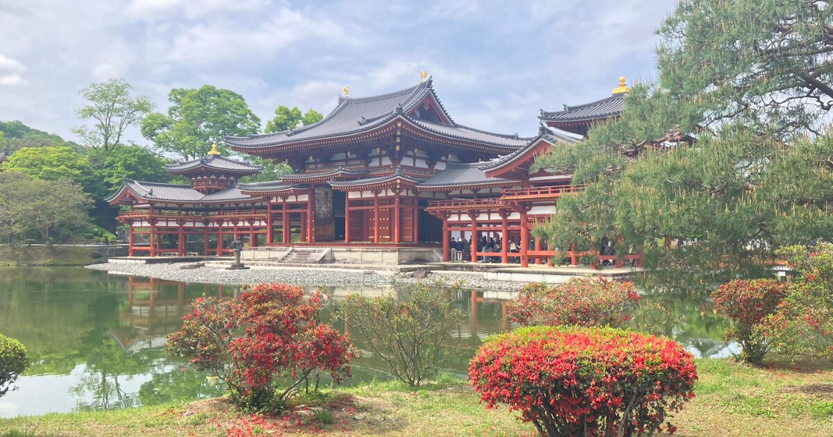 平等院の藤と三室戸寺のツツジを混雑回避で楽しむ方法