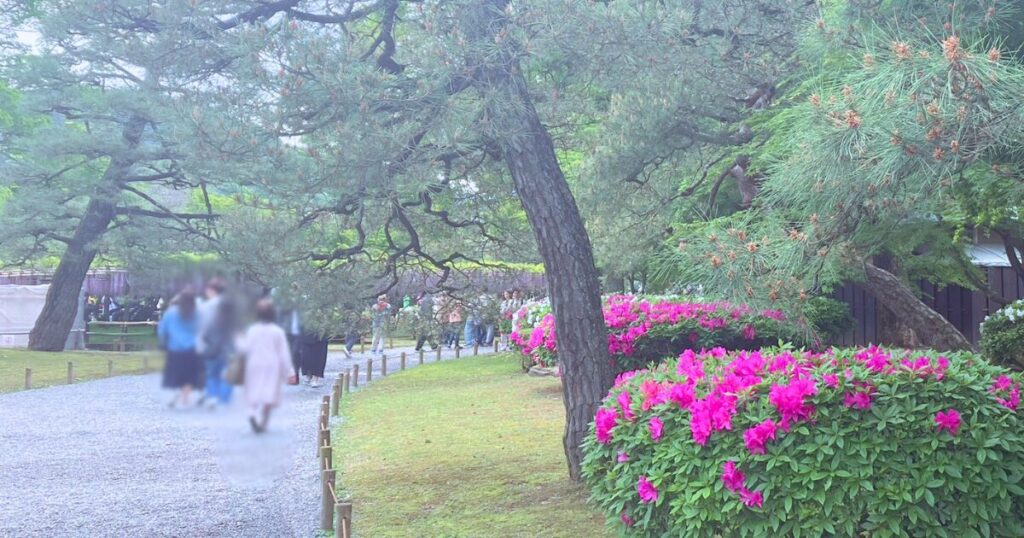 平等院の藤と三室戸寺のツツジを混雑回避で楽しむ方法