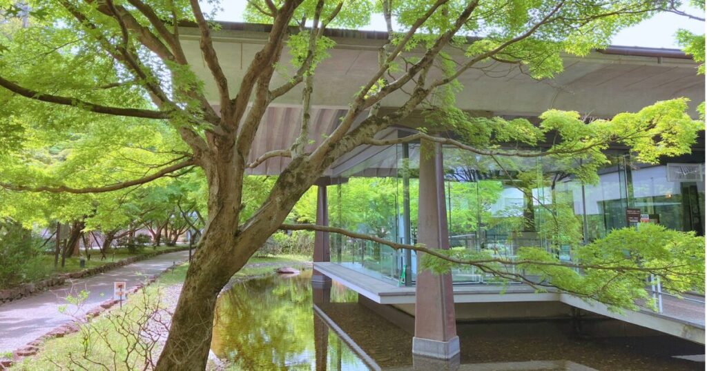 平等院の藤と三室戸寺のツツジを混雑回避で楽しむ方法