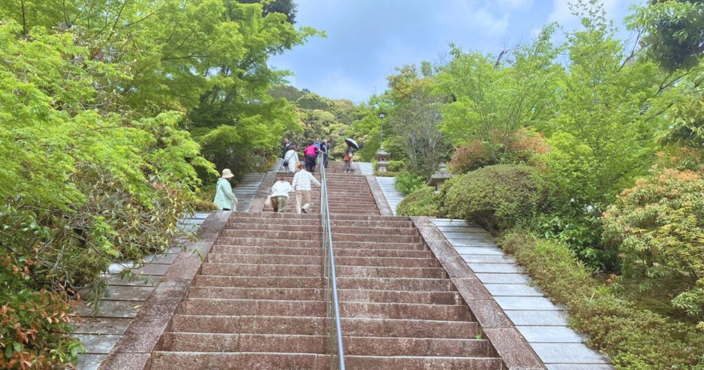 平等院の藤と三室戸寺のツツジを混雑回避で楽しむ方法