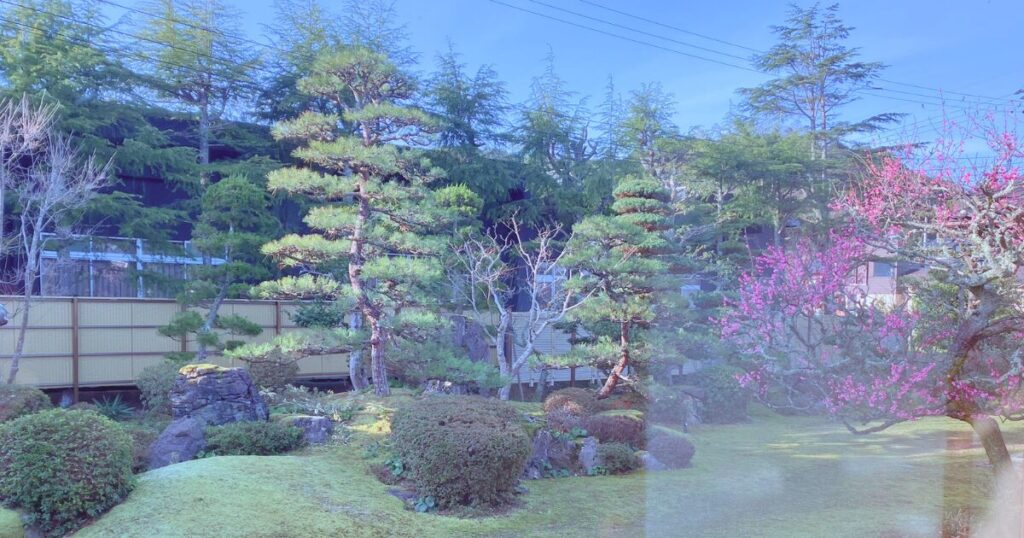 木津温泉と四季の苔庭を楽しむ宿 木津館｜70代の親と安心して泊まれる理由5選