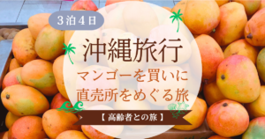 3泊4日沖縄旅行|マンゴーを買いに直売所をめぐる旅【高齢者との旅】