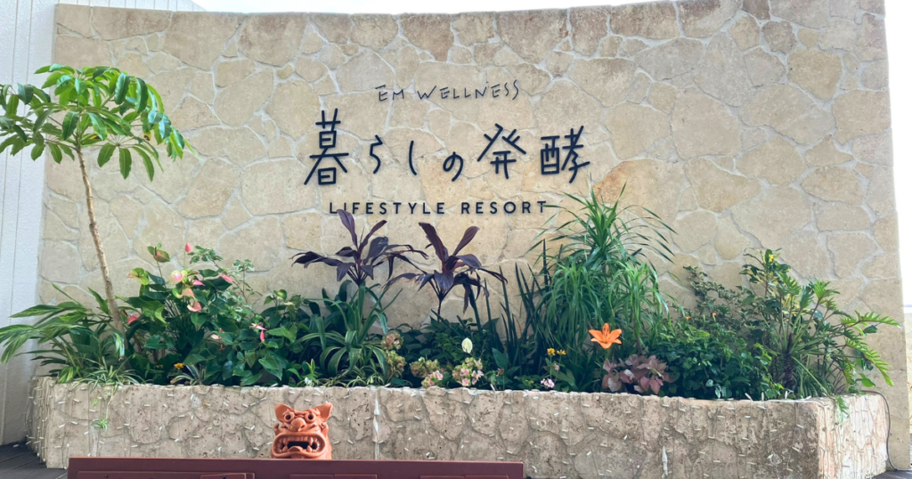 3泊4日沖縄旅行｜マンゴーを買いに直売所をめぐる旅【高齢者との旅】