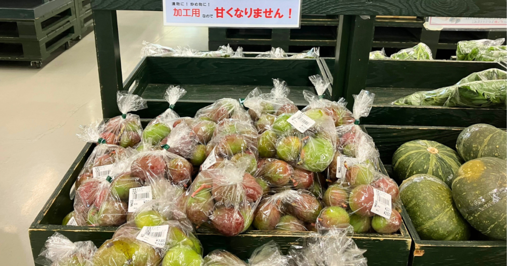 3泊4日沖縄旅行｜マンゴーを買いに直売所をめぐる旅【高齢者との旅】