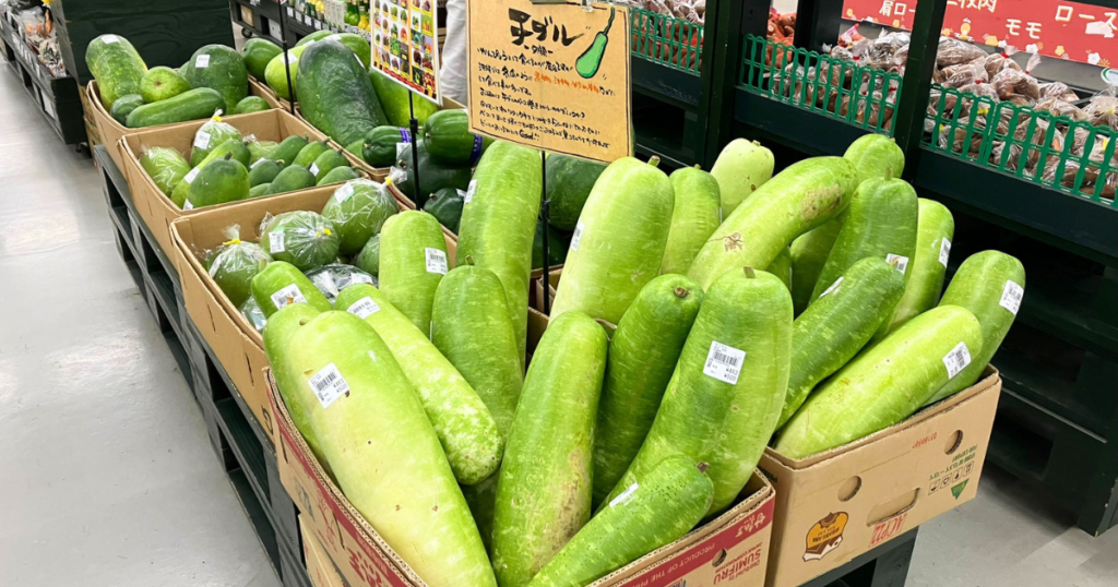 3泊4日沖縄旅行｜マンゴーを買いに直売所をめぐる旅【高齢者との旅】